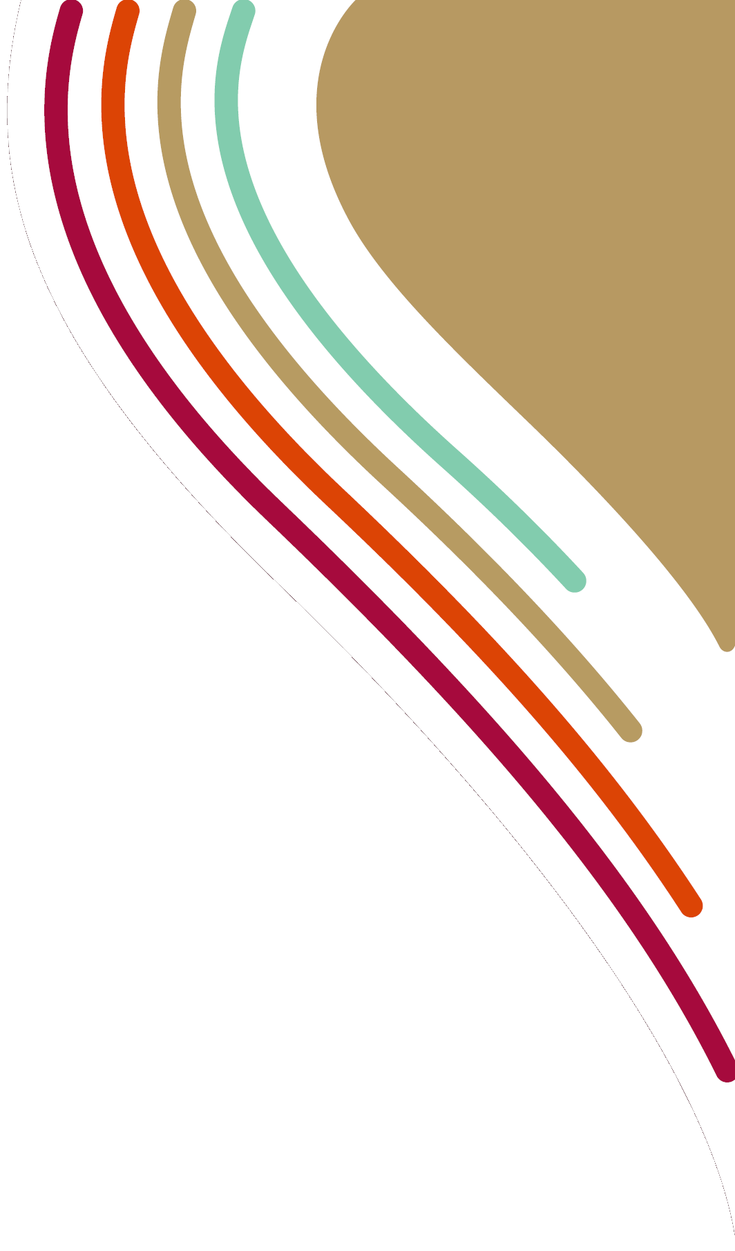 Stellenbosch University supergraphic